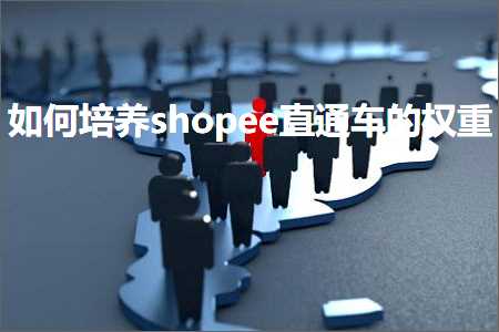 跨境电商知识:如何培养shopee直通车的权重